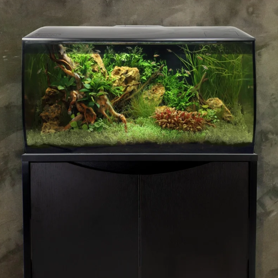 FLUVAL FLEX KIT32.5 US GAL 123L (In store Only)